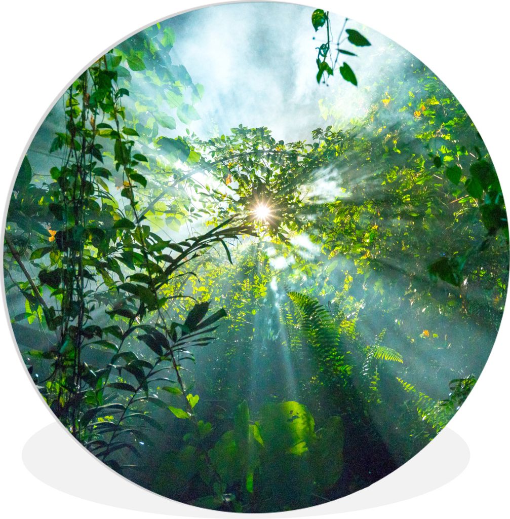 MuchoWow Rundes Wandbild - Runde Bilder Sonnenlicht scheint auf eine Höhle im Regenwald von Malaysia Ø 90 cm Kreis Wanddekoration Kunststoff - ...