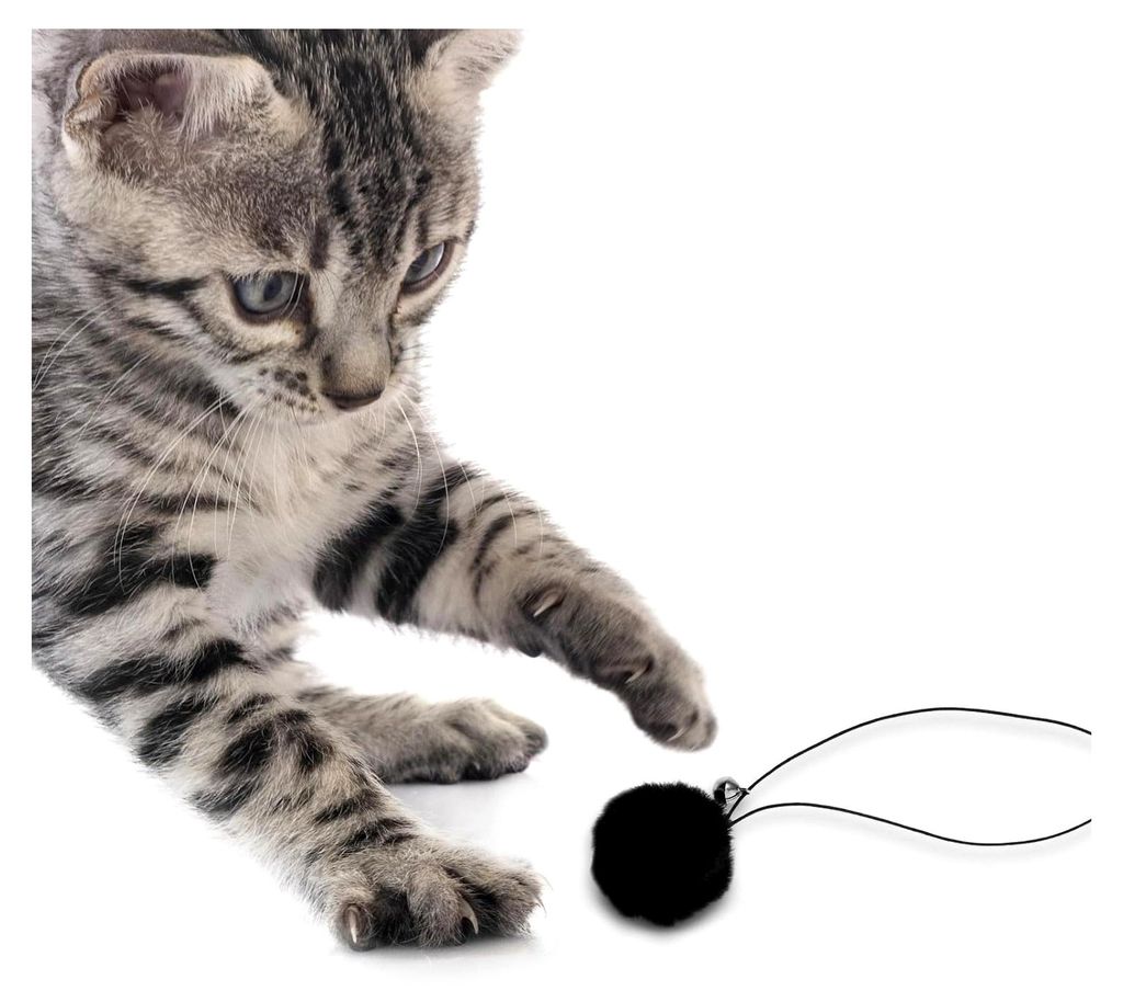 Plüschbälle mit Glöckchen, 4 Stück, Katzenspielzeug zum Aufhängen am Kratzbaum, interaktiv für Kätzchen und ausgewachsene Katzen