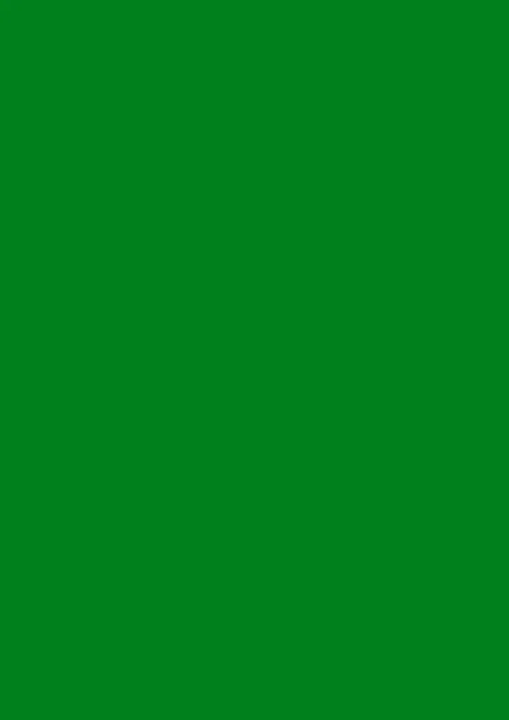 Papier d'argile épais vert foncé A4 texture mate pour beaux-arts