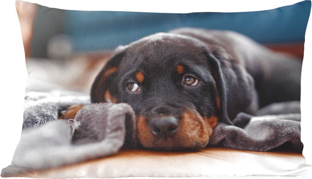 MuchoWow Zierkissen Sofakissen Wohnzimmer Dekokissen 50x30 cm Niedlicher Rottweiler-Welpe liegt auf dem Boden - Wohnzimmerdekoration - Polster mi...