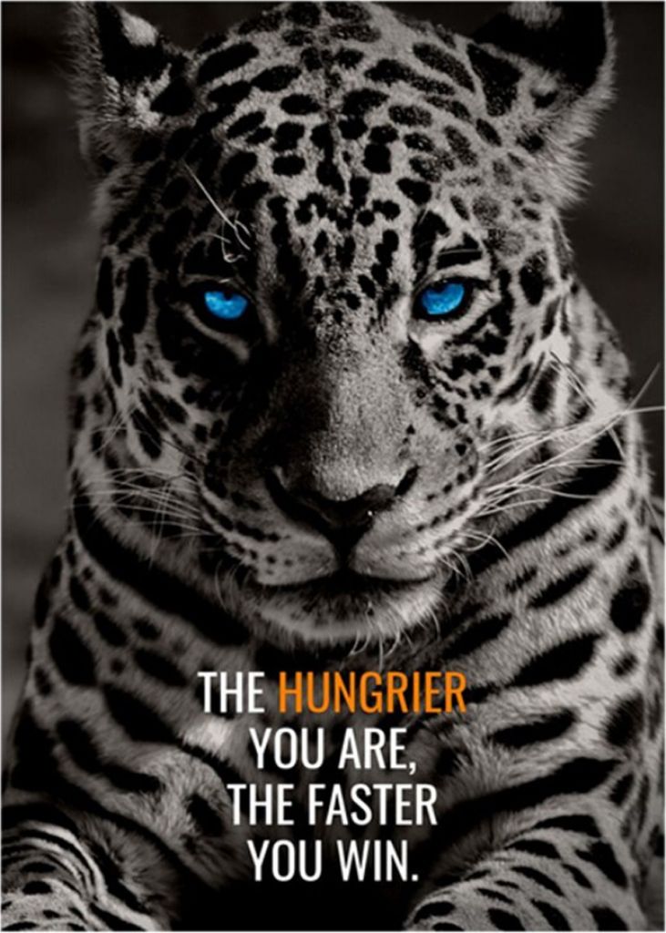 TPFLiving Kunstdruck LW-804 (OHNE RAHMEN) Poster - Leinwand - Wandbild - Hochauflösender Giclée-Druck, langlebig und hochwertig - Tiger und Hund ...