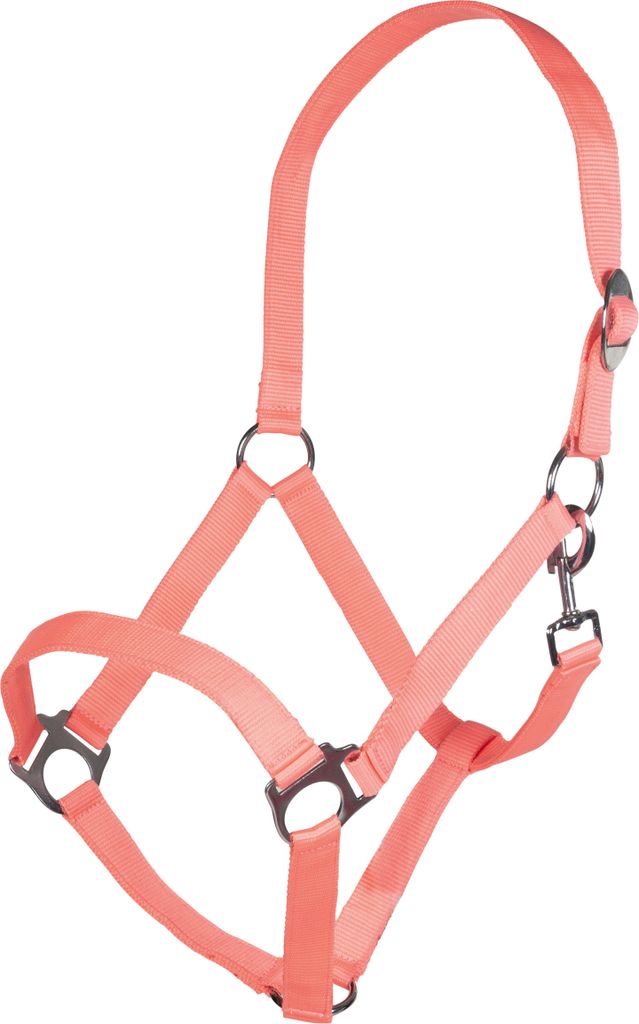 HKM Halfter Stars Economy Softice NEONKORALLE, Gr. Kaltblut