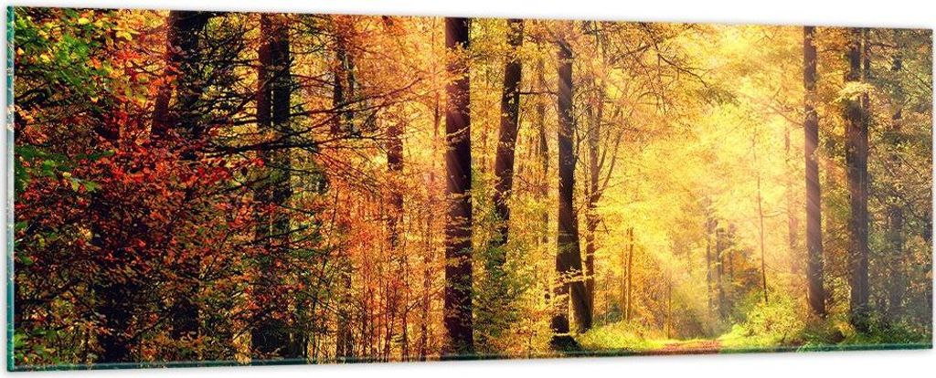 Bilder auf glas - Wald Baum Natur - 90x30cm - Glasbilder - Wandbilder - Kunstdruck - zum Aufhängen bereit - Wanddekoration aus Glas - Glas Bilder ...