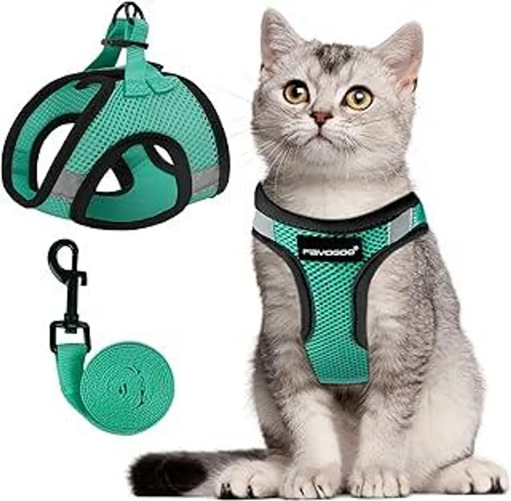 Set Pettorina Gatto FAYOGOO con Guinzaglio: Escursioni in Sicurezza