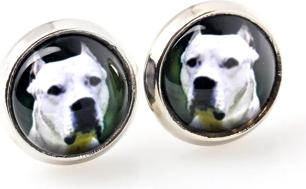 Gioielli Dogo Argentino Art-Dog: Orecchini Esclusivi con Foto in Scatola
