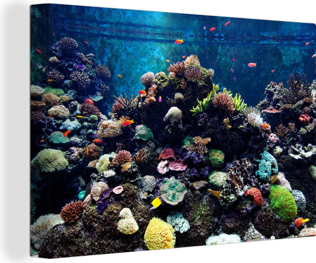 OneMillionCanvasses - Leinwandbilder - 150x100 cm, Aquarium mit tropischen Fischen und Korallen, Wandbilder Kunstdruck Wanddekoration