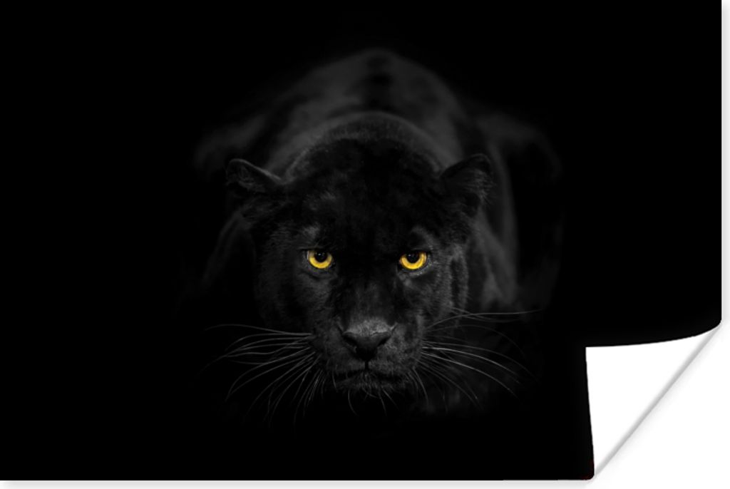 MuchoWow Poster Panther - Tiere - Schwarz - Augen 90x60 cm - Schlafzimmer