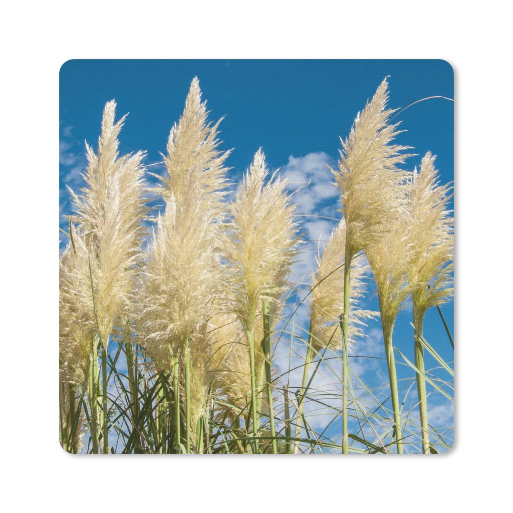 MuchoWow® Mauspad Mousepad Pampasgras - Pflanze - Natur Produktbild 