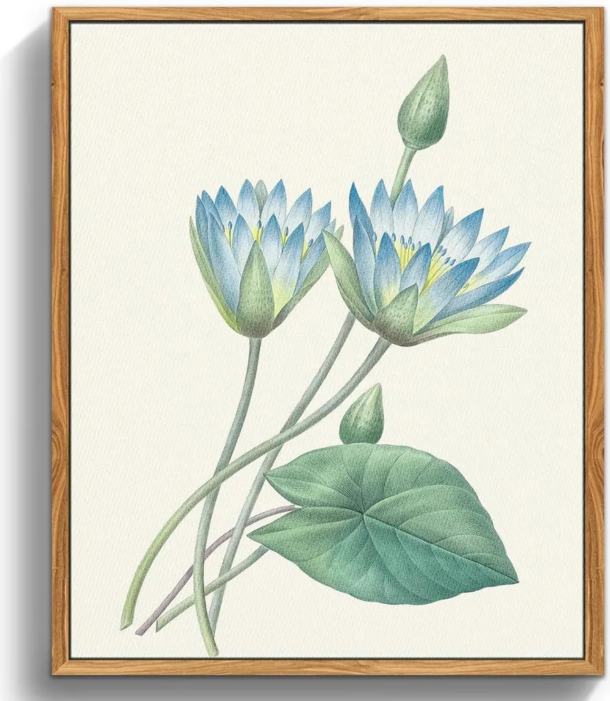 Loto Blu Quadro Botanico Vintage 30x40 - Cornice Legno su Tela