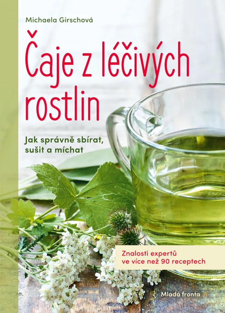 Livre de recettes Tisanes médicinales : 90 préparations bien-être à base