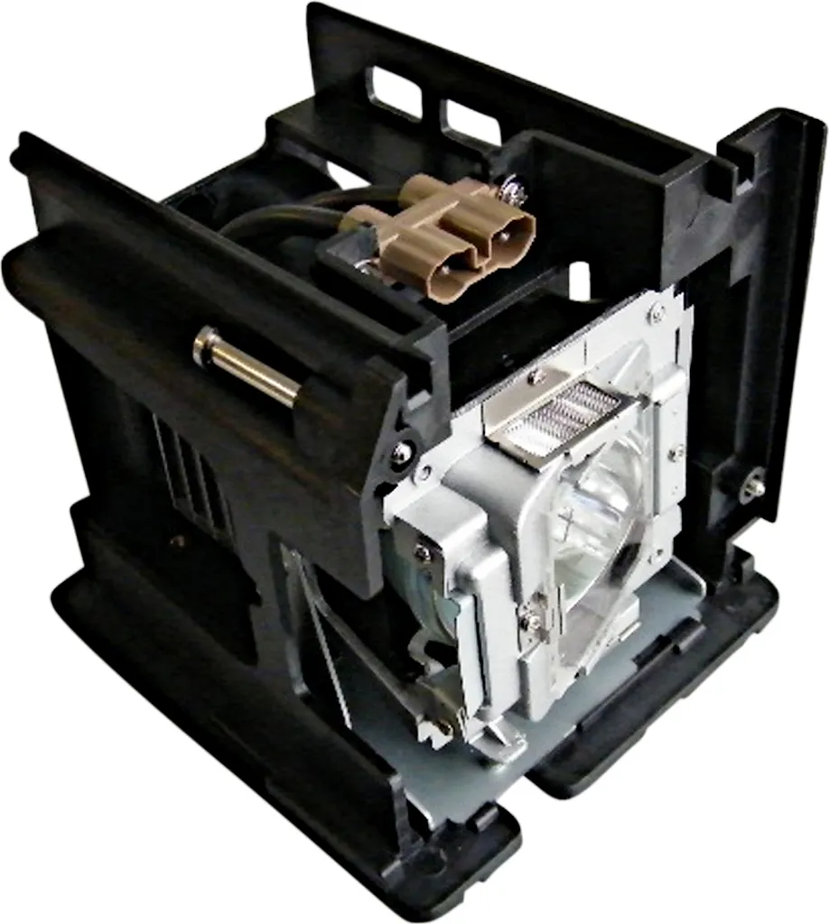 Lampe de Projection pour Optoma EW505 et EX605 idéale pour Conférences