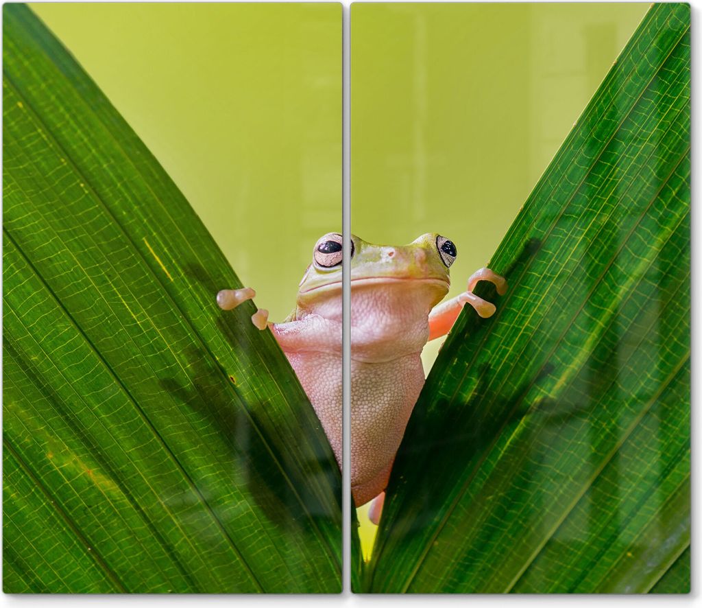 DEQORI Herdabdeckplatte Glas 2-tlg 'Frosch zwischen Blättern' Herd Abdeckung Küche