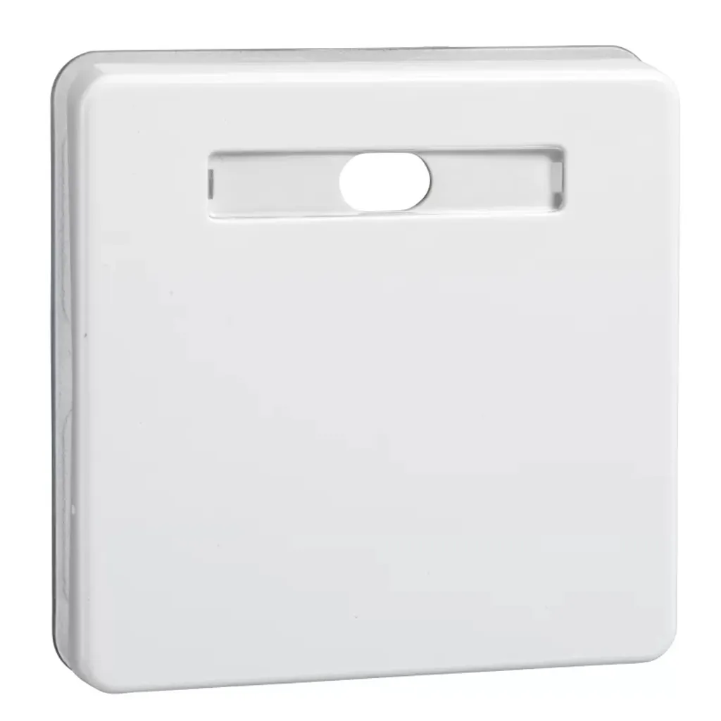 Interrupteur pour salle de bain Schneider 233624 blanc IP44 ELSO Riva