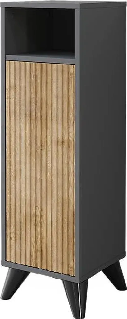 Armoire compacte Vicco Leano : gagnez de la place en Anthracite et Chêne