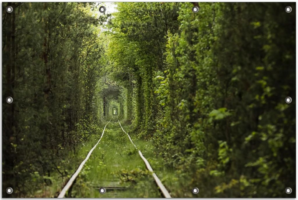 Wallario Outdoor-Poster für Garten oder Balkon, Motiv Verwunschener Tunnel aus Bäumen, in ca. 80 x 120 cm