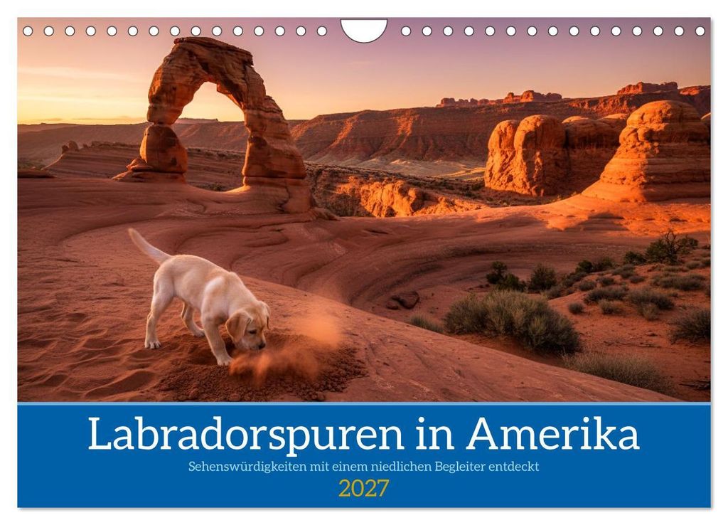 Labradorspuren in Amerika (Wandkalender 2027 DIN A4 quer), CALVENDO Monatskalender