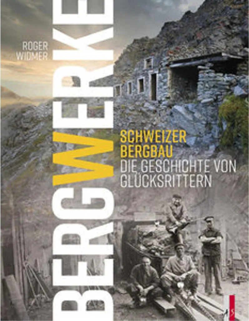 Bergwerke Jeu de Société Stratégie Minière Edition Expert en Français