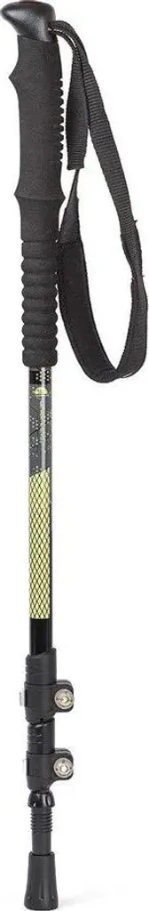 Bâtons de Marche Télescopiques Ternua Enkan Argent 61-130 cm Unisexe Alp
