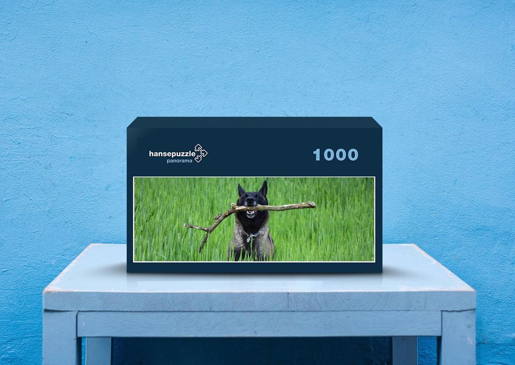 hansepuzzle 36085 - Hund Puzzle, 1050 Teile, Tierwelt, 60,0 x 46,0cm mit hochwertiger Aufbewahrung, Kartonbox und wiederverschließbarem Beutel