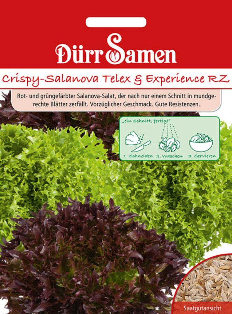 Dürr-Samen - Crispy-Salanova Telex + Experience RZ - Produktbild 