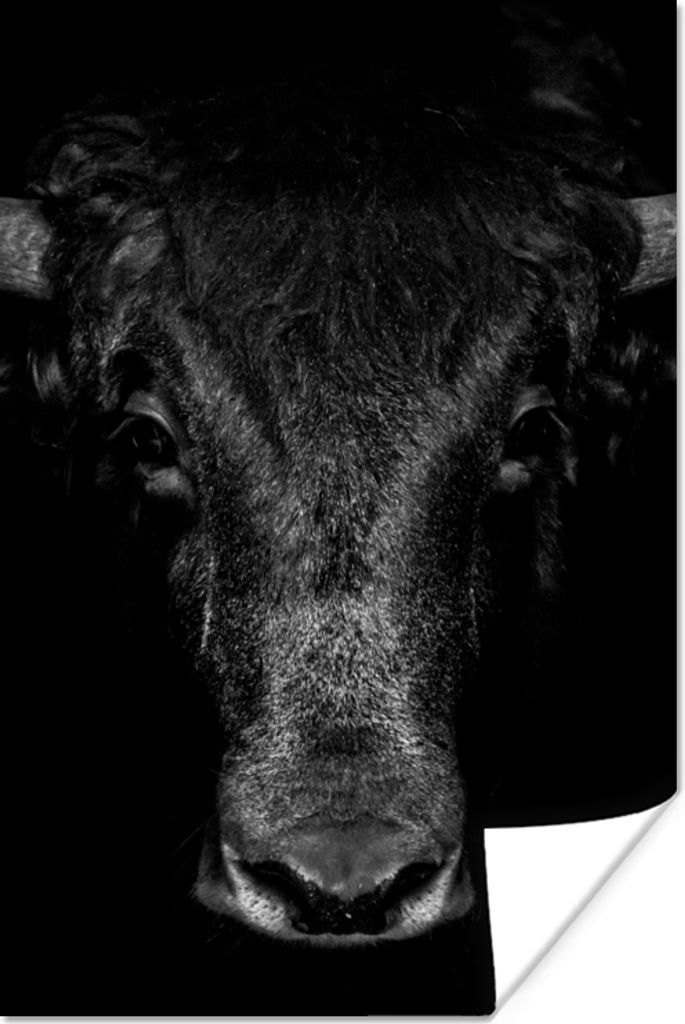 MuchoWow Poster Taurus - Tiere - Schwarz - Weiß 40x60 cm - Plakate für die Wand - Poster Babyzimmer