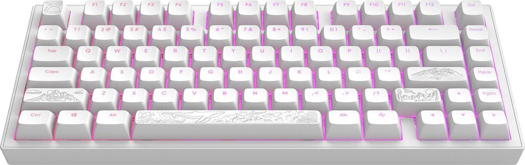 Dark Project Terra Nostra R2 Mechanische Gaming-Tastatur Produktbild 