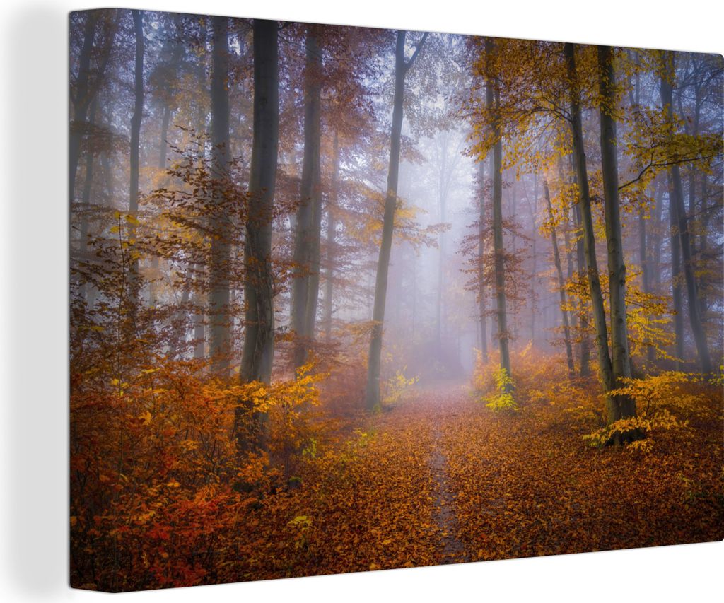 OneMillionCanvasses - Leinwandbilder - 150x100 cm, Weg durch den Wald - Herbst - Nebel - Waldweg - Bäume und Pflanzen - Laub, Wandbilder Kunstdr...
