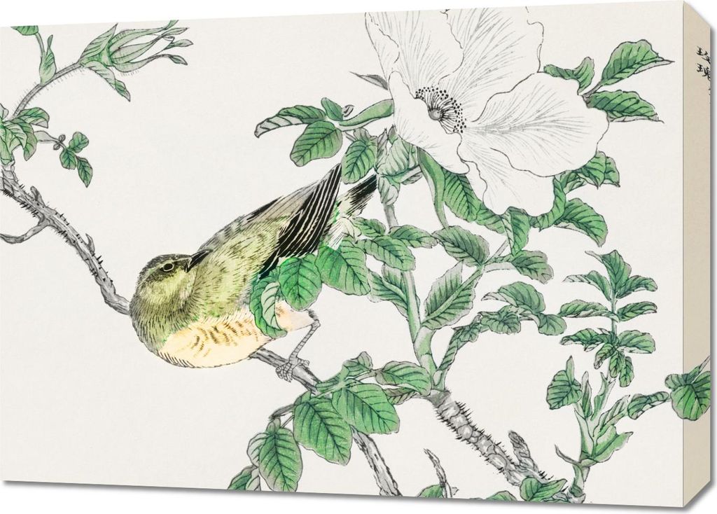 Bild 70x50cm Bulbul und Rosa, Japanischer Vintage Kashu für das Wohnzimmer