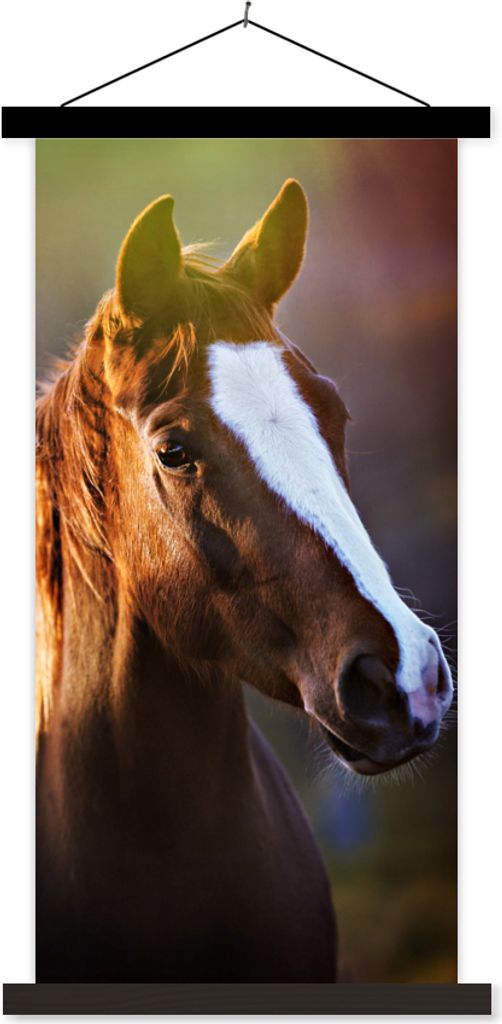 MuchoWow Textilposter Pferd - Licht - Mantel 40x80 cm mit schwarzem Rahmen - Wandemalerei