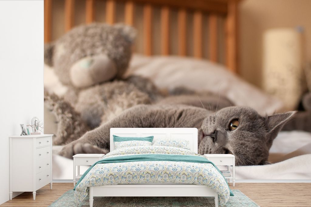 MuchoWow Fototapete für Wohnzimmer oder Schlafzimmer Wandtapete Vinyl Motivtapete Graue American Shorthair auf dem Bett liegend - 450x300 cm - G...