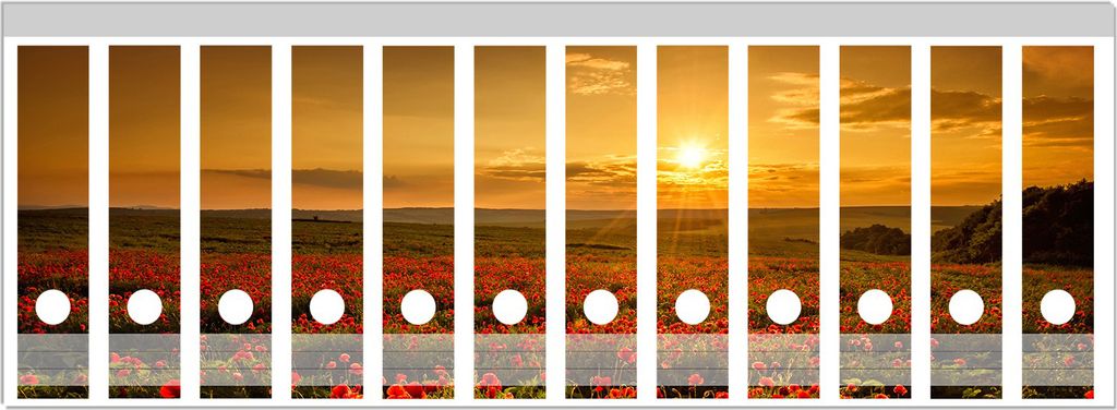 Wallario Ordnerrücken Sticker, selbstklebend für breite Ordner, 12 Stück, Motiv Mohnblumenwiese bei Sonnenuntergang am Abend