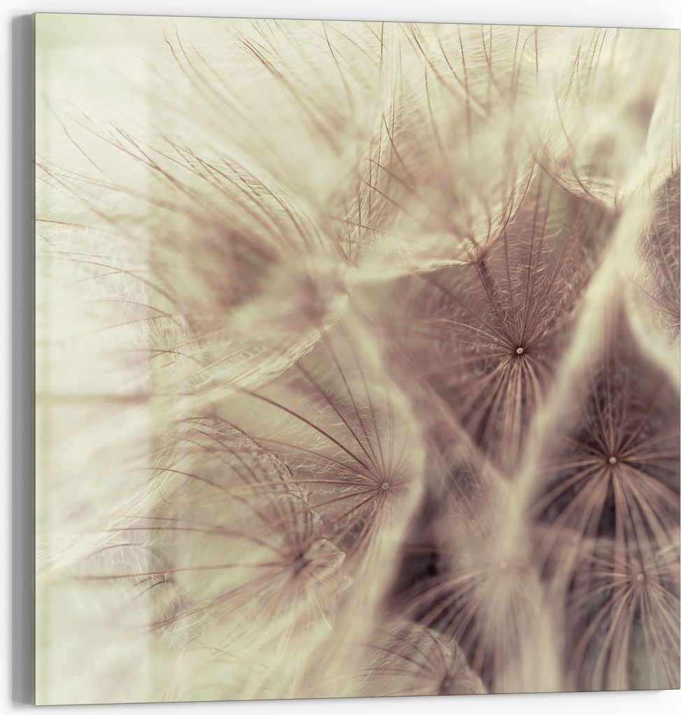 DEQORI Magnettafel Glas 50x50 cm 'Zarter Samenflug' beschreibbar Whiteboard Pinnwand Küche