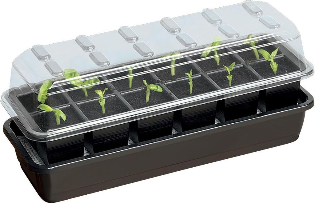 12 Töpfe Selbstbewässerungs -Anzuchtset | Anzuchtschalen von Garland