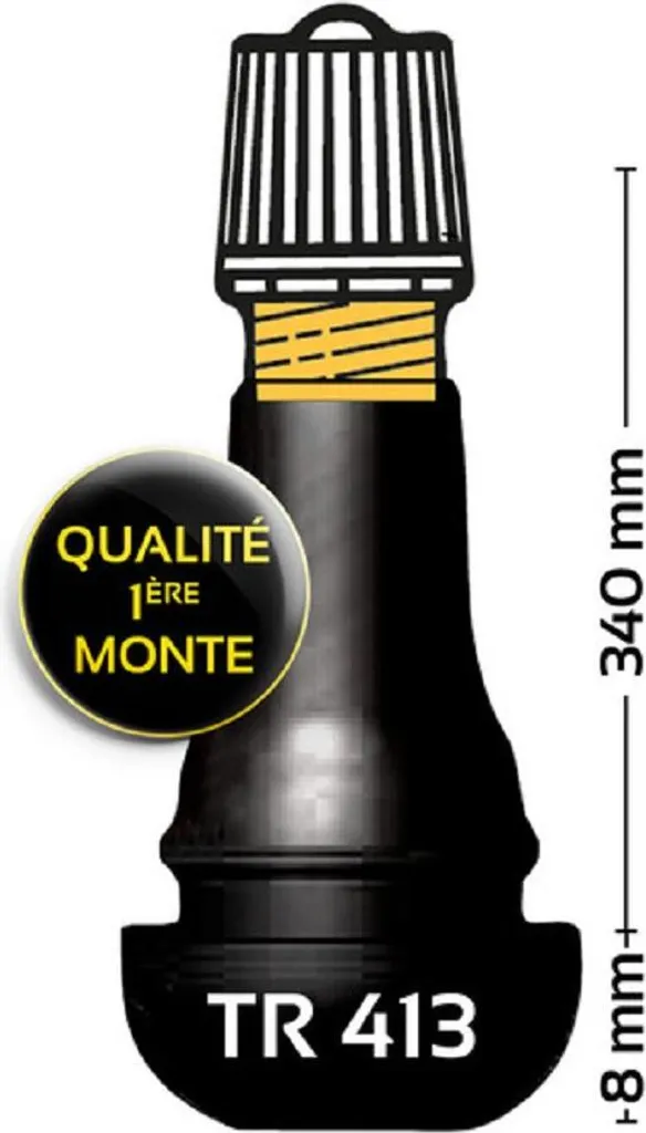 BIHR TR413 Valve de Pneu Tubeless Droite Caoutchouc - Lot de 100 Pièces