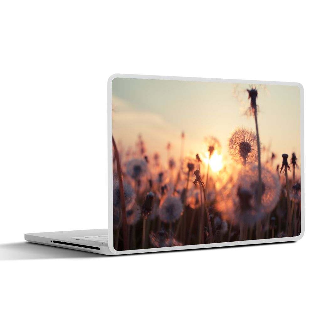 MuchoWow Laptop Aufkleber Sticker Cover Löwenzahn - Sonnenuntergang - Frühling 30x21 cm - Sticker für Laptop - Selbstklebend