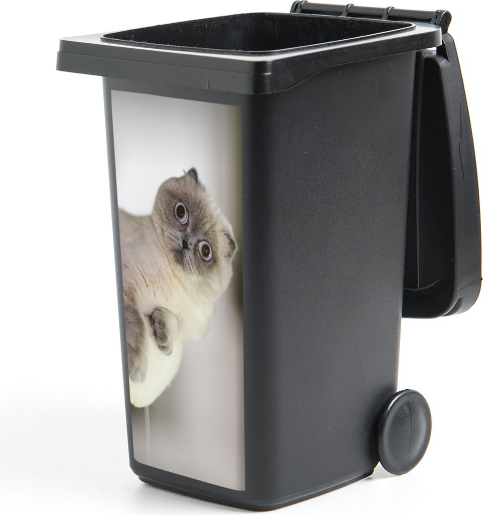 MuchoWow Mülltonnenaufkleber Katze - Tier - Wohnzimmer 44x98 cm - Containeraufkleber - Aufkleber - Mülltonnen-Aufkleber