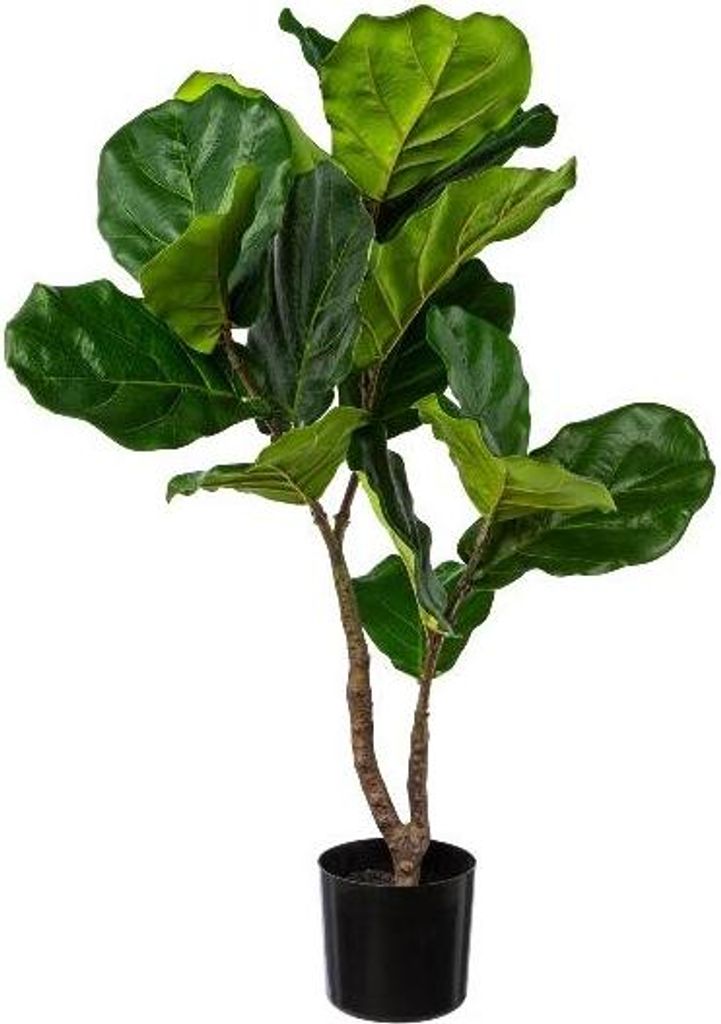 artplants.de Künstlicher Ficus lyrata MYKER, Kunststamm, grün, 80cm - Kunstficus