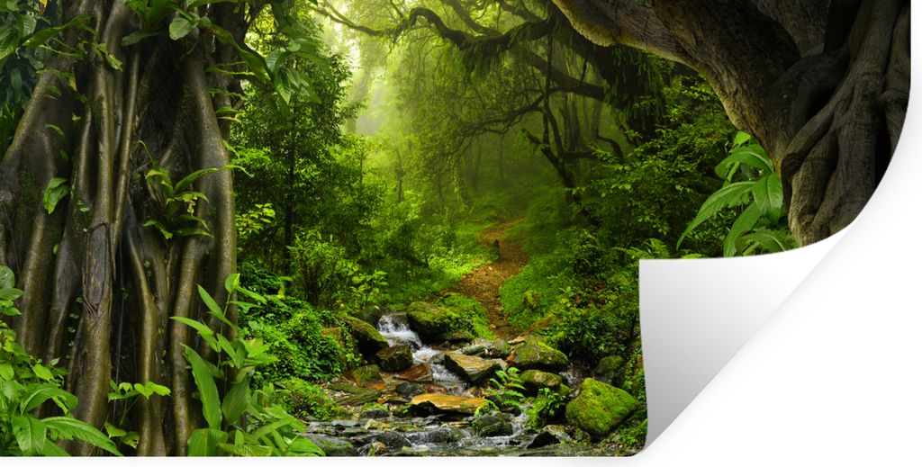 MuchoWow Wandtattoo Wandsticker Wandaufkleber Natur - Wasser - Dschungel - Wald - Tropisch 160x80 cm Selbstklebend und Repositionierbar - Sticker...