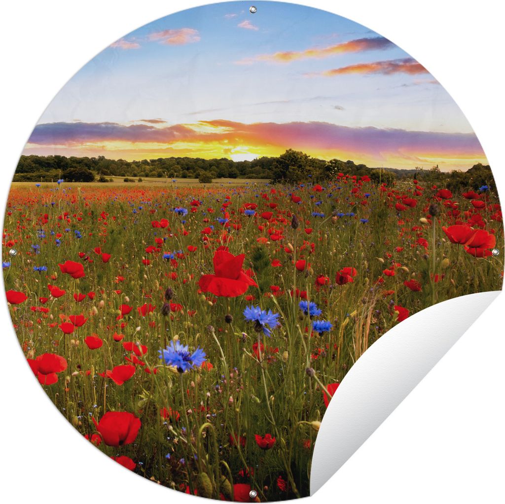 MuchoWow Gartenposter Outdoor-Poster Rund Blumenwiese - Mohnblumen - Rot Ø 150 cm Gartendeko Rundes Poster draußen