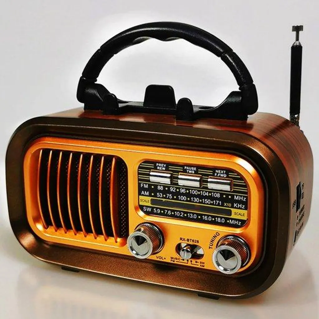 Poste Radio FM et Enceinte Bluetooth Nomade avec Batterie Haute Capacité