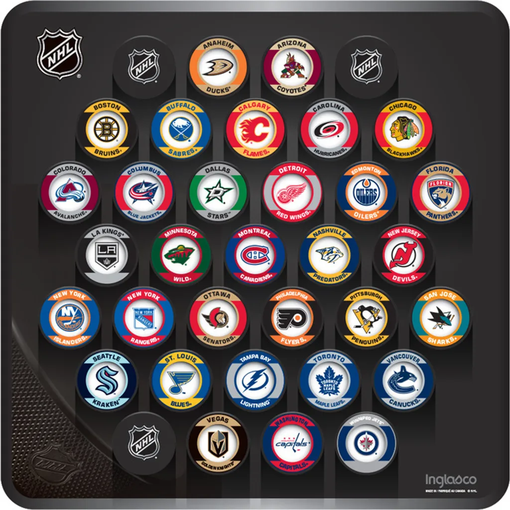 Décoration murale NHL avec palets de hockey pour chambre de fan