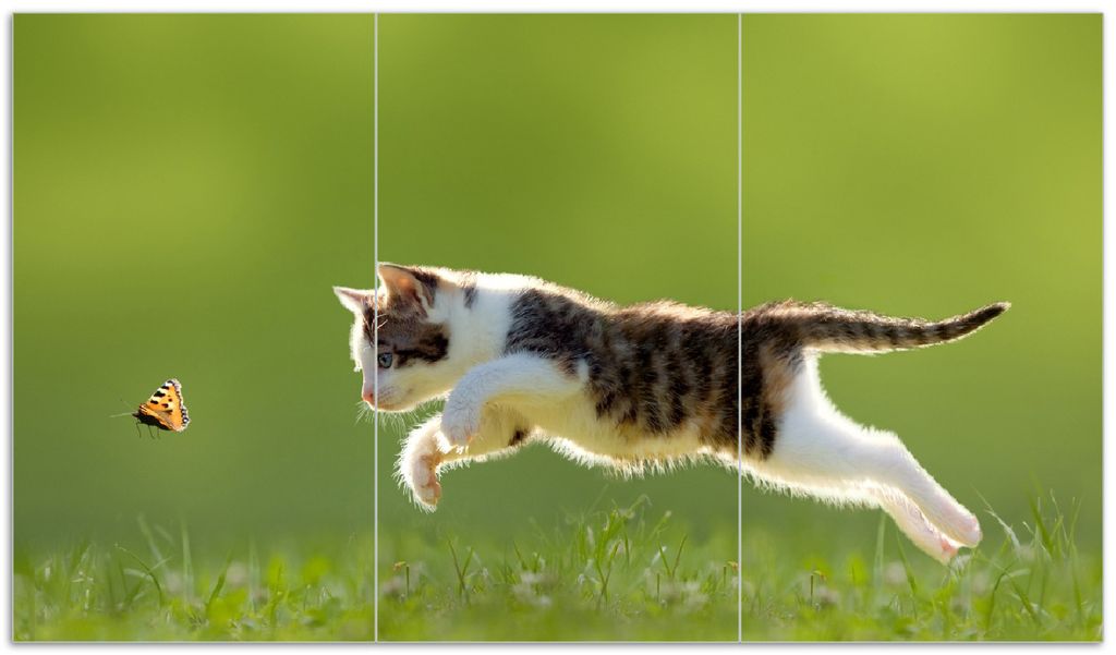 Wallario Herdabdeckplatte aus Glas, Größe 90 x 52 cm 3-teilig, Motiv Süße Katze fängt Schmetterling im Grünen