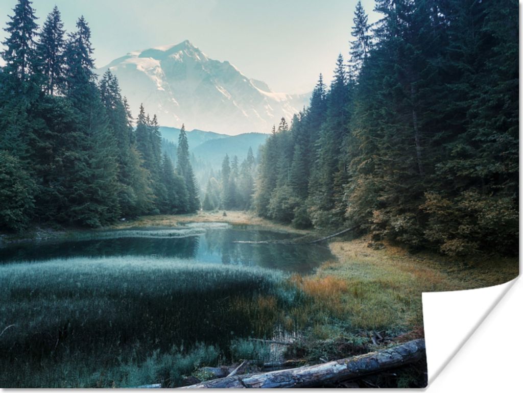 MuchoWow Poster Wald - Gras - Berge - Bäume - Natur 80x60 cm - Kunst für zu Hause