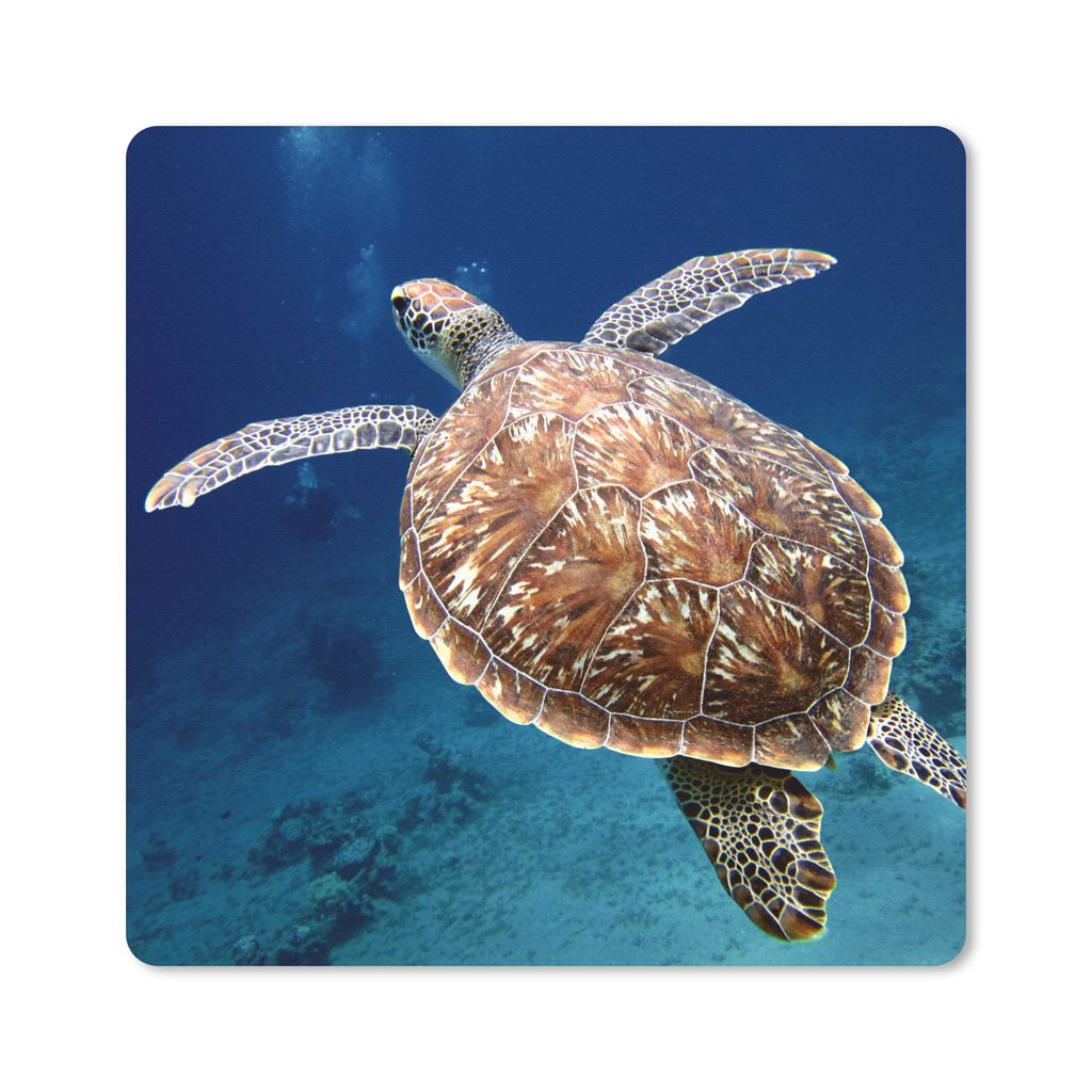 MuchoWow Mauspad Mousepad Schildkröte Fotodruck 30x30 cm - Mousepads - Maus Mat - Pad - Mausunterlage - Gaming