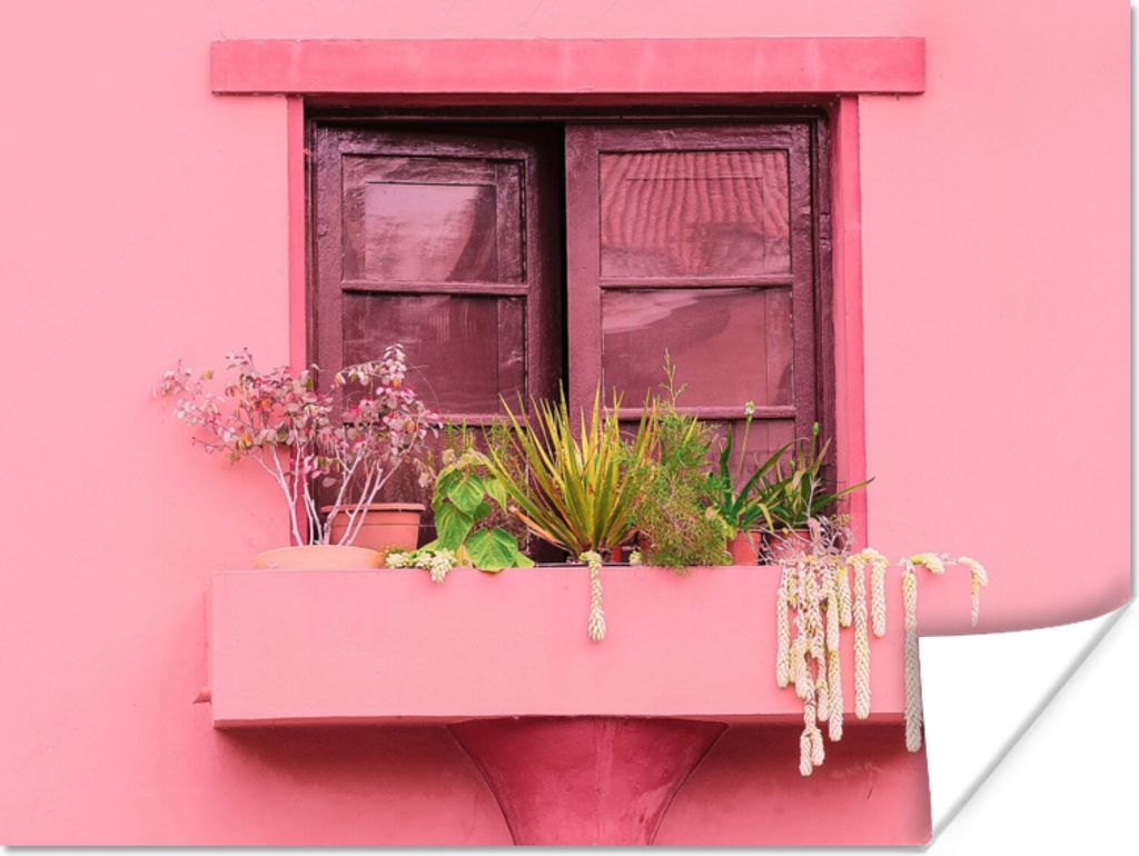 MuchoWow Poster Fenster - Pflanzen - Rosa - Pflanzgefäß 40x30 cm - Plakate für die Wände - Poster Wohnzimmer