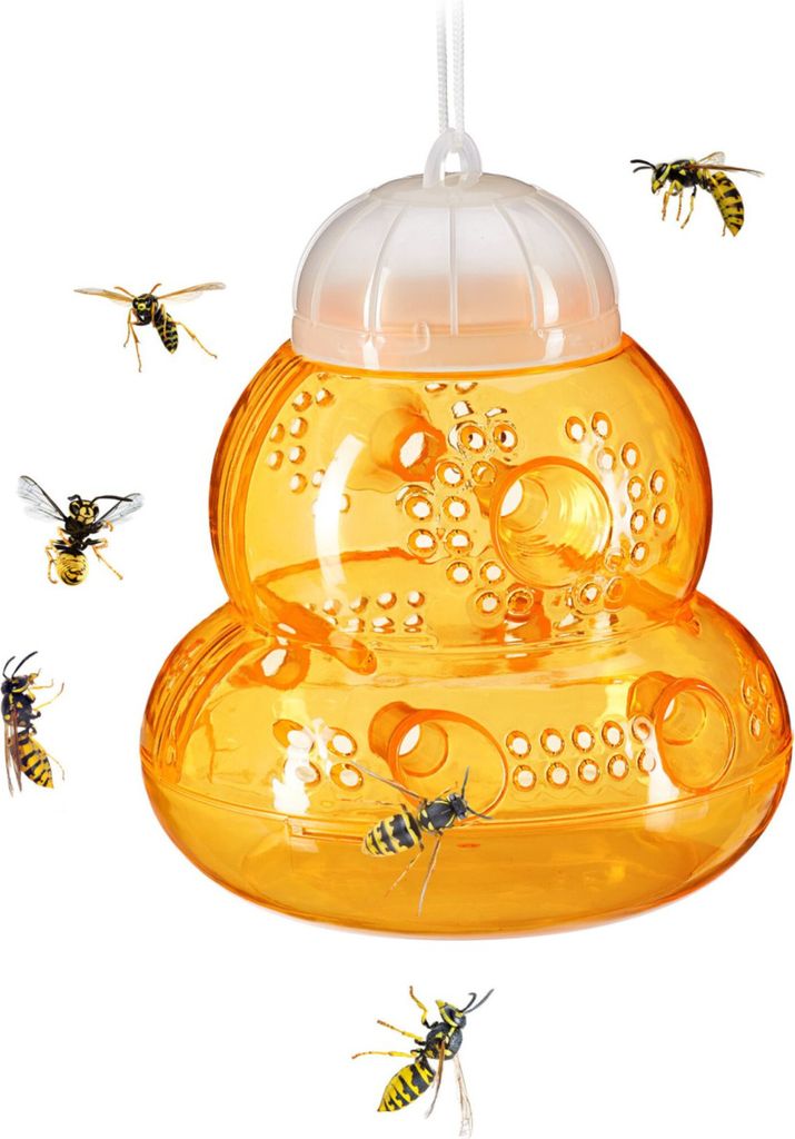 A wasp trap with several wasps around it, on a white background.