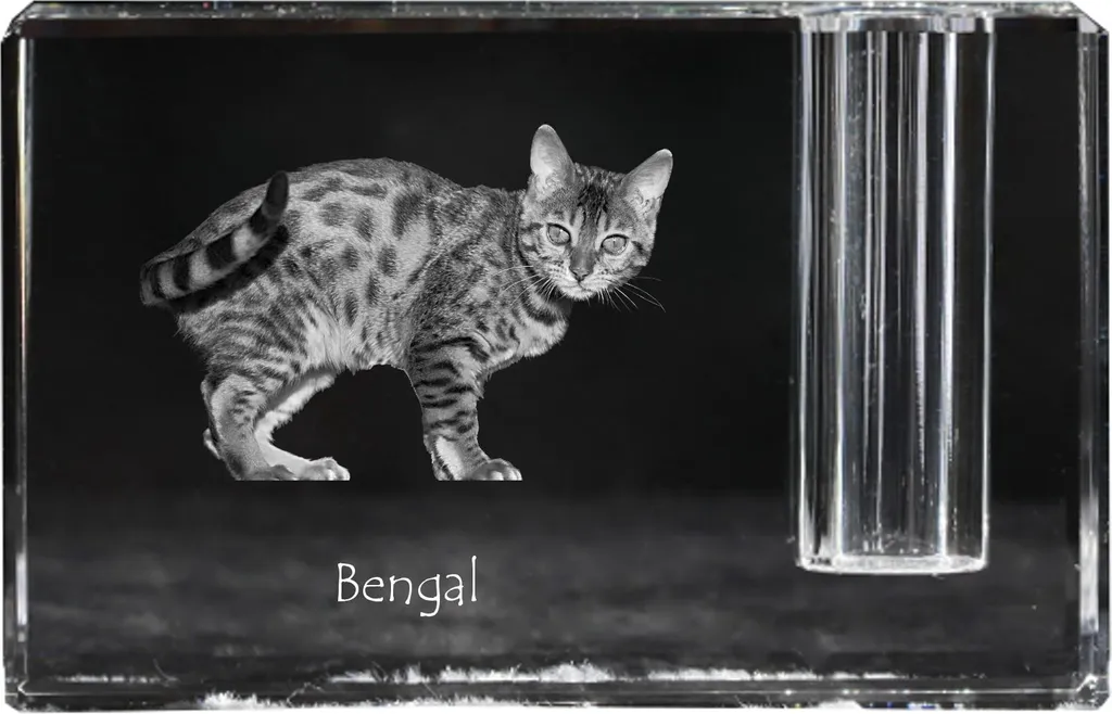 Bengalese - Portapenne, organizer in cristallo con foto di gatto, decorazione da tavolo unica del marchio Art-Dog