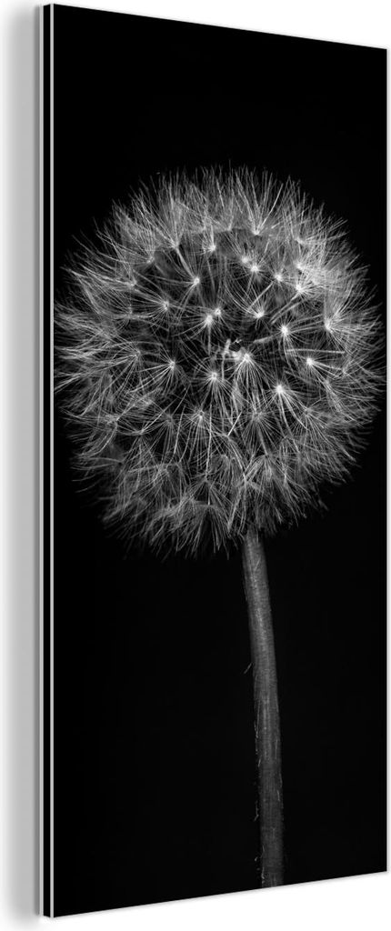 MuchoWow Wanddekoration Metall Metallbild Wandkunst 40x80 cm Löwenzahn - Schwarz - Floral - Botanisch MuchoWow Aluminium Gemälde - Wanddekoration...