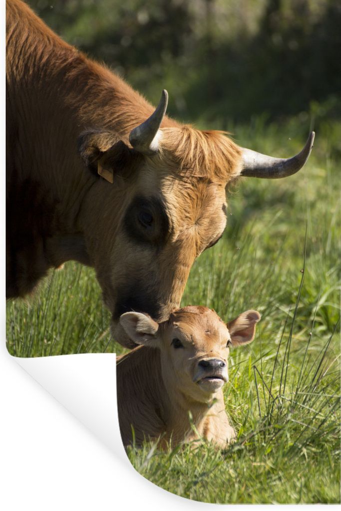 MuchoWow - Sticker - Dekorfolie