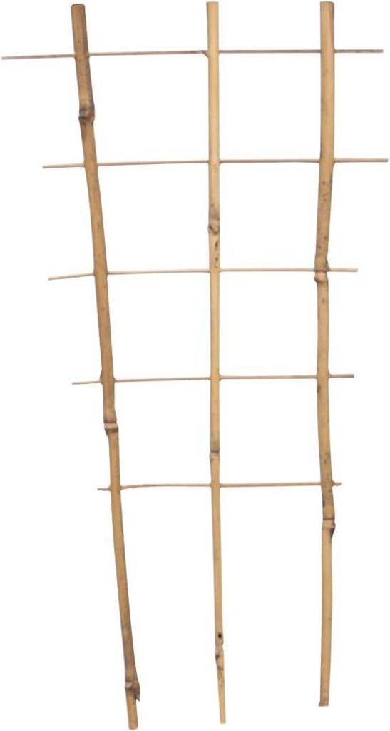 Bambus Rankgitter 45 cm 45 x 22 x 10 cm Produktbild 